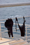 Coquillage Brief - Noir