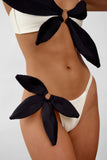 Fleur Brief Blanc Avec Noir